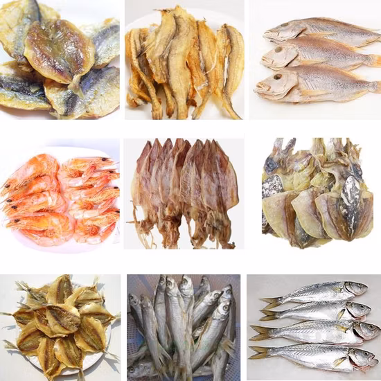 Kinkai Wärmetrockner Ingwer-Trocknungsmaschine Dörrgerät